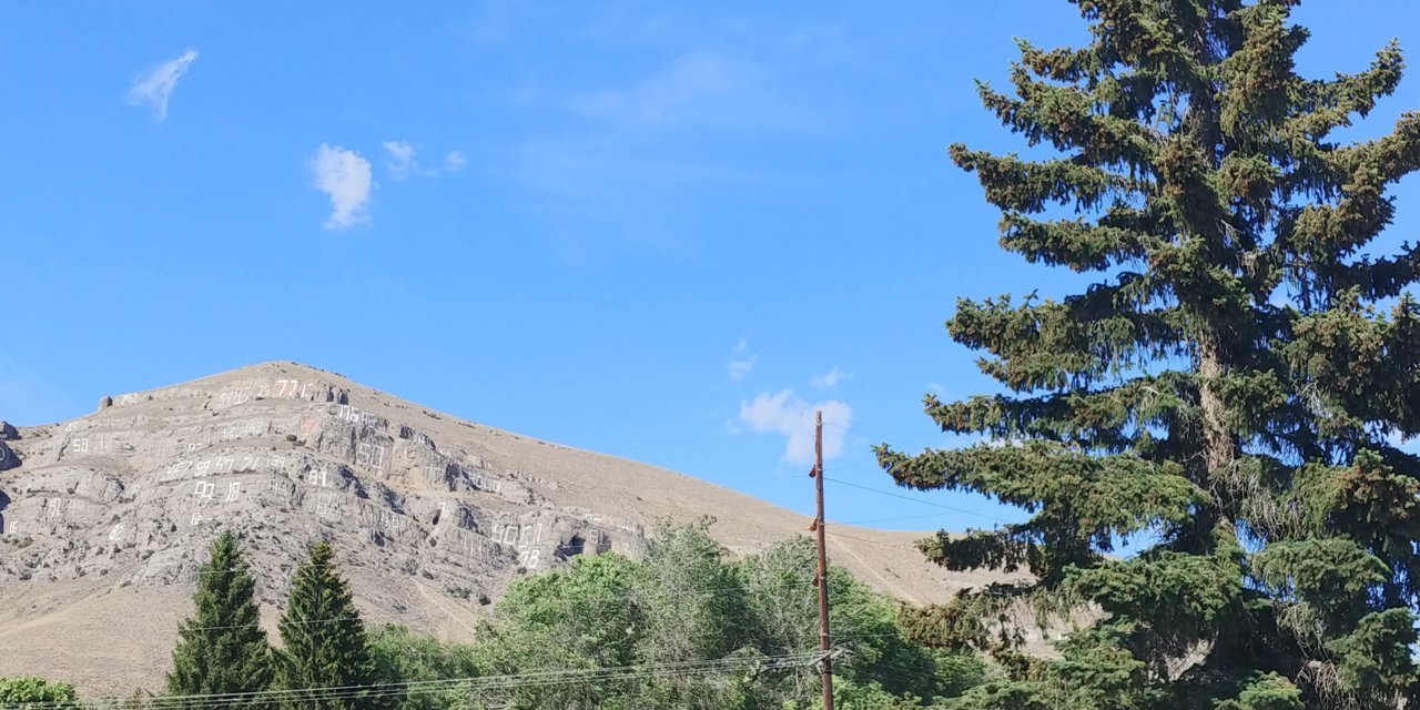 20200702_173558.jpg