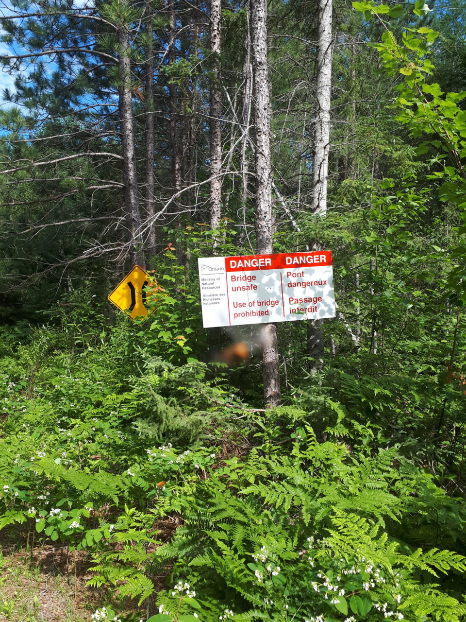 20200703_094843.jpg