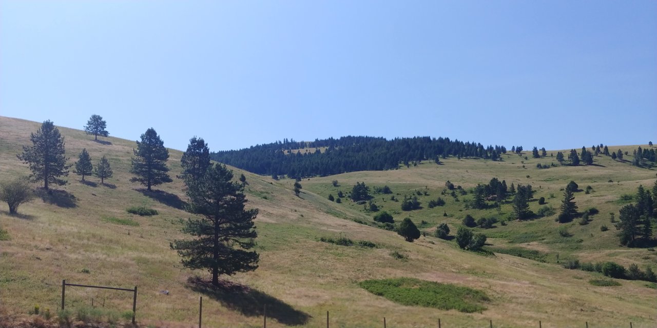 20200703_102942.jpg