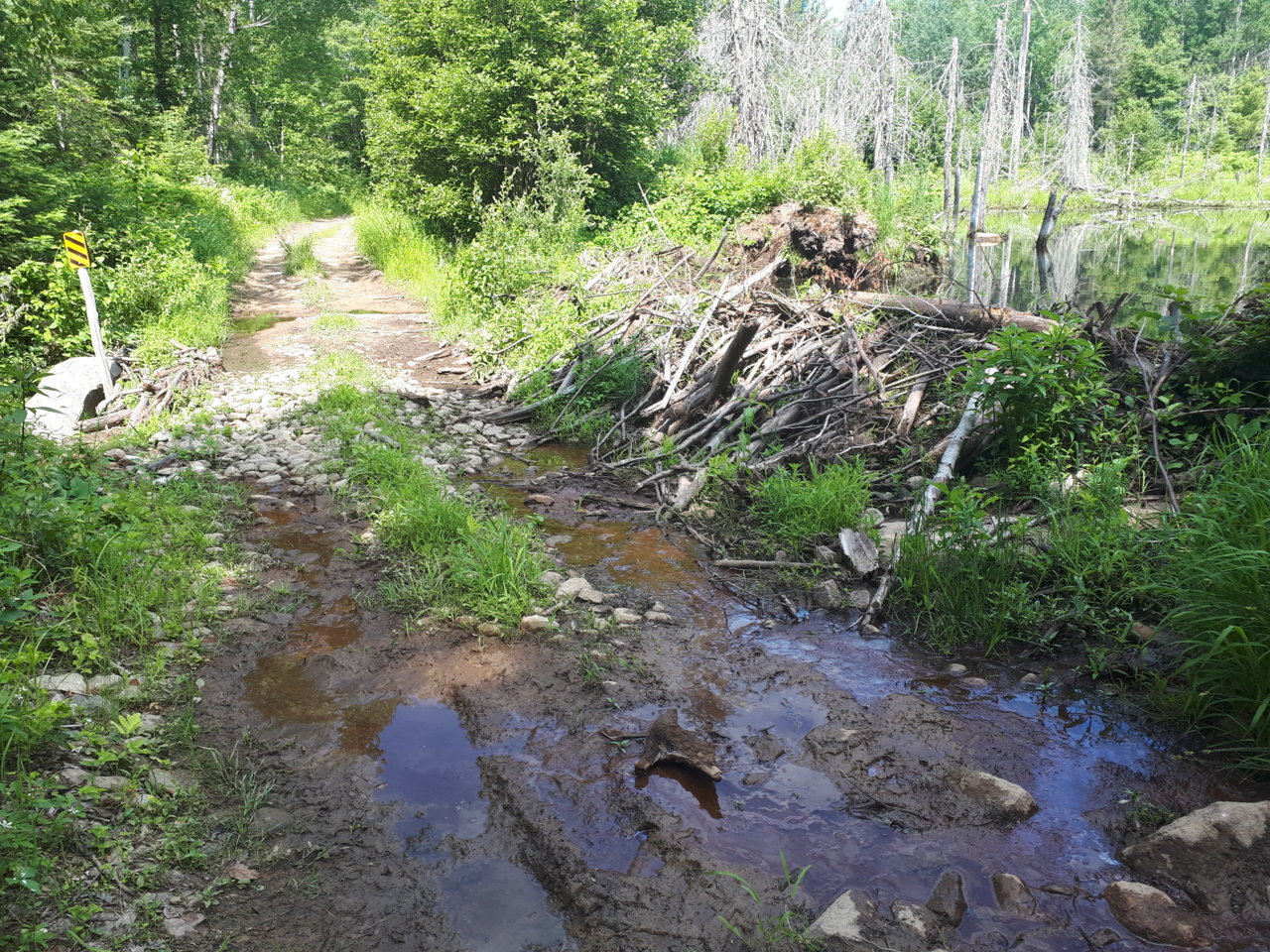 20200703_112012.jpg