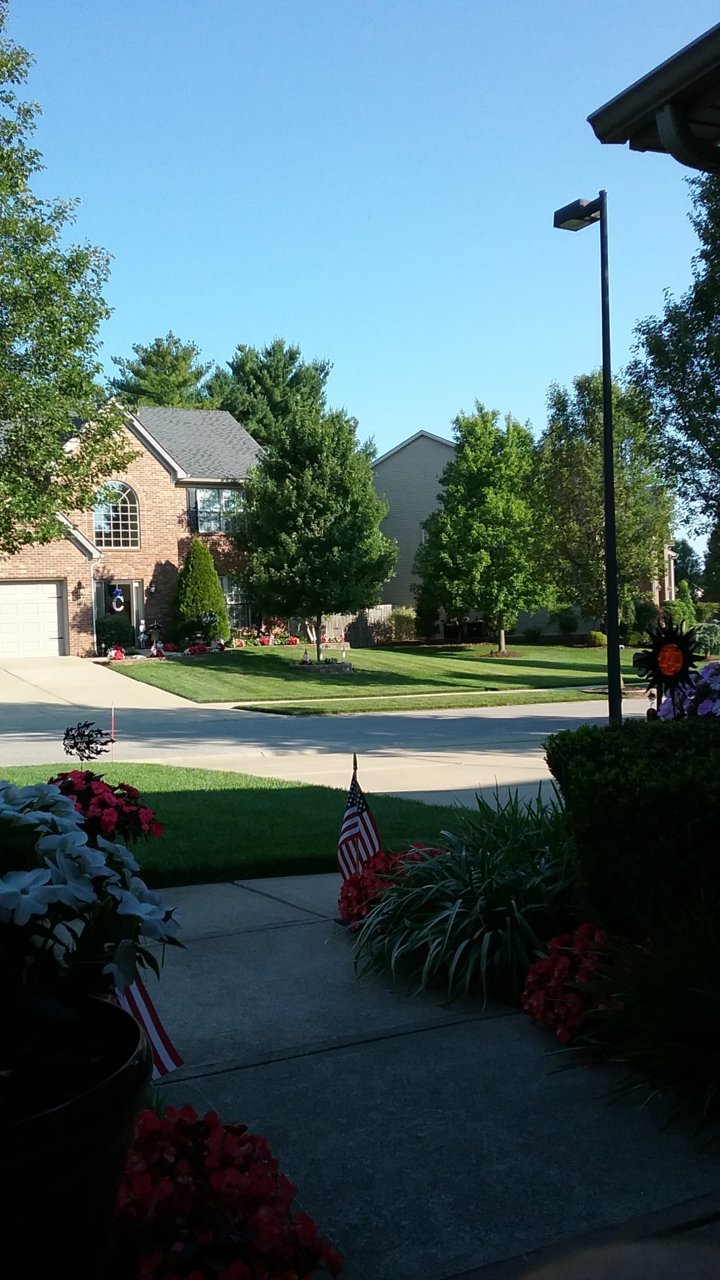 20200704_083939.jpg