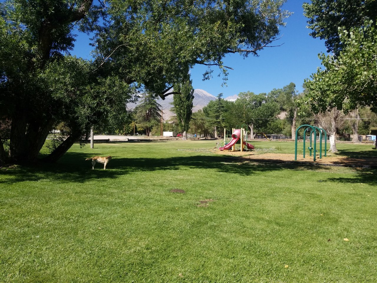 20200704_094427.jpg