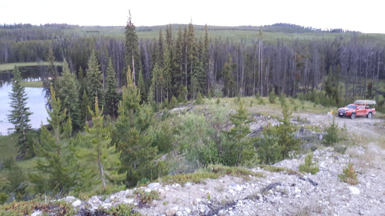 20200707_210636.jpg