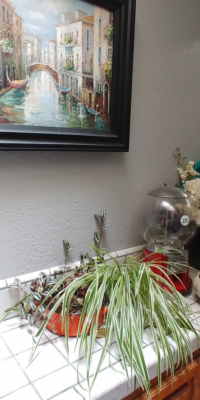 20200708_092420.jpg