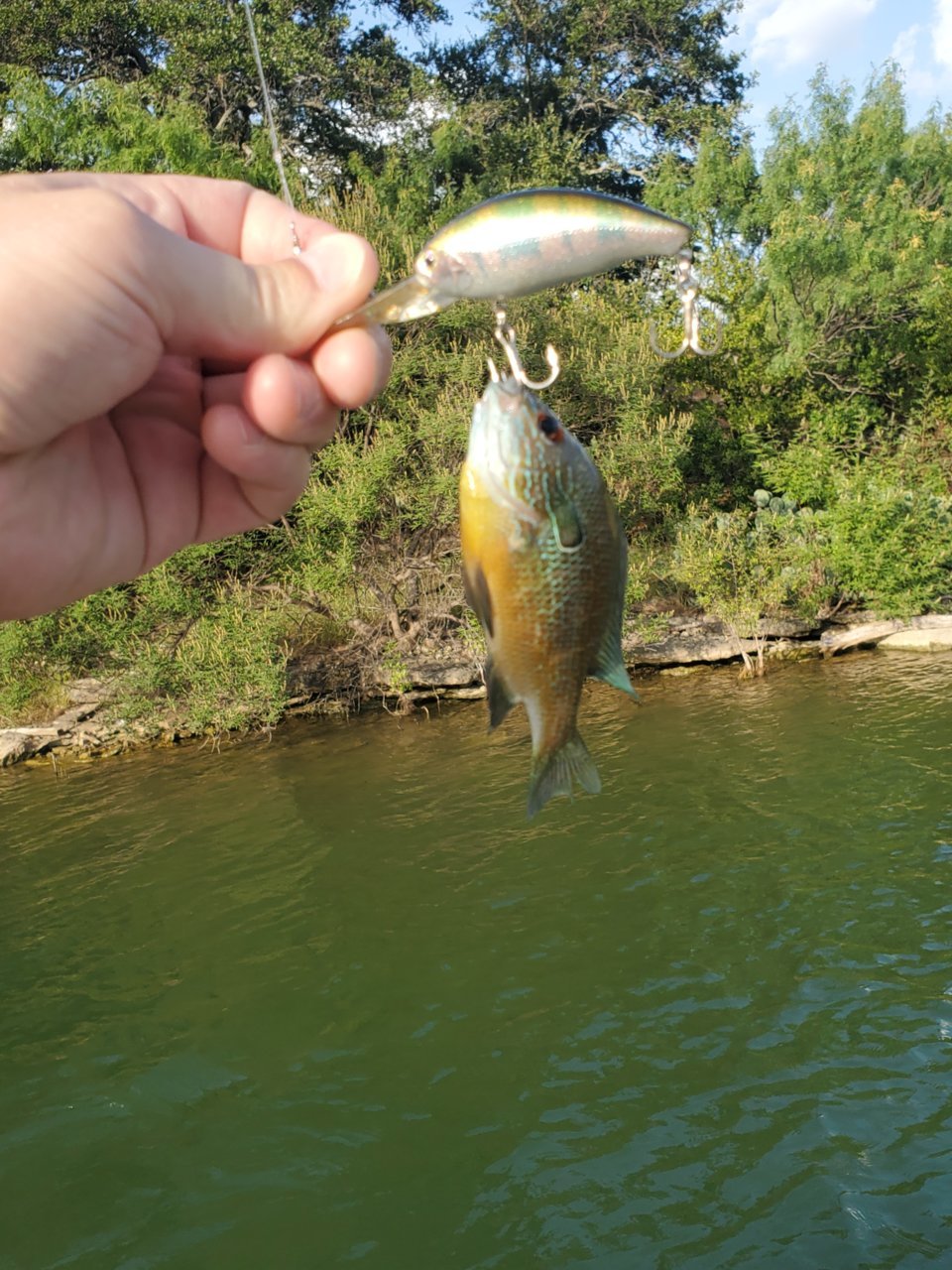 20200708_185426.jpg