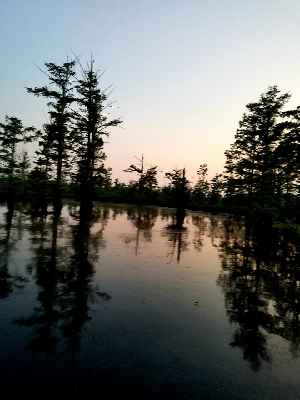 20200708_215649.jpg