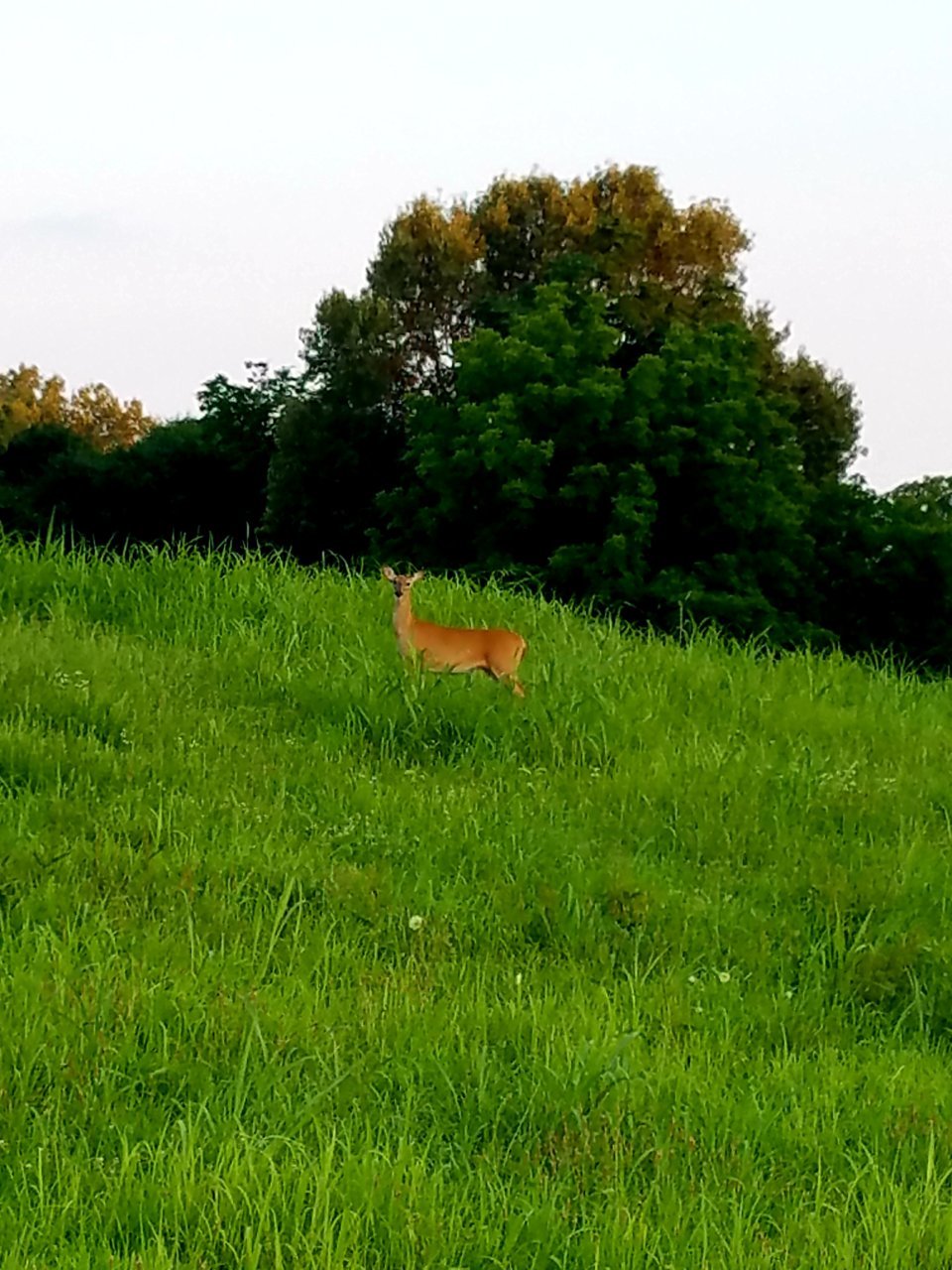 20200708_215741.jpg