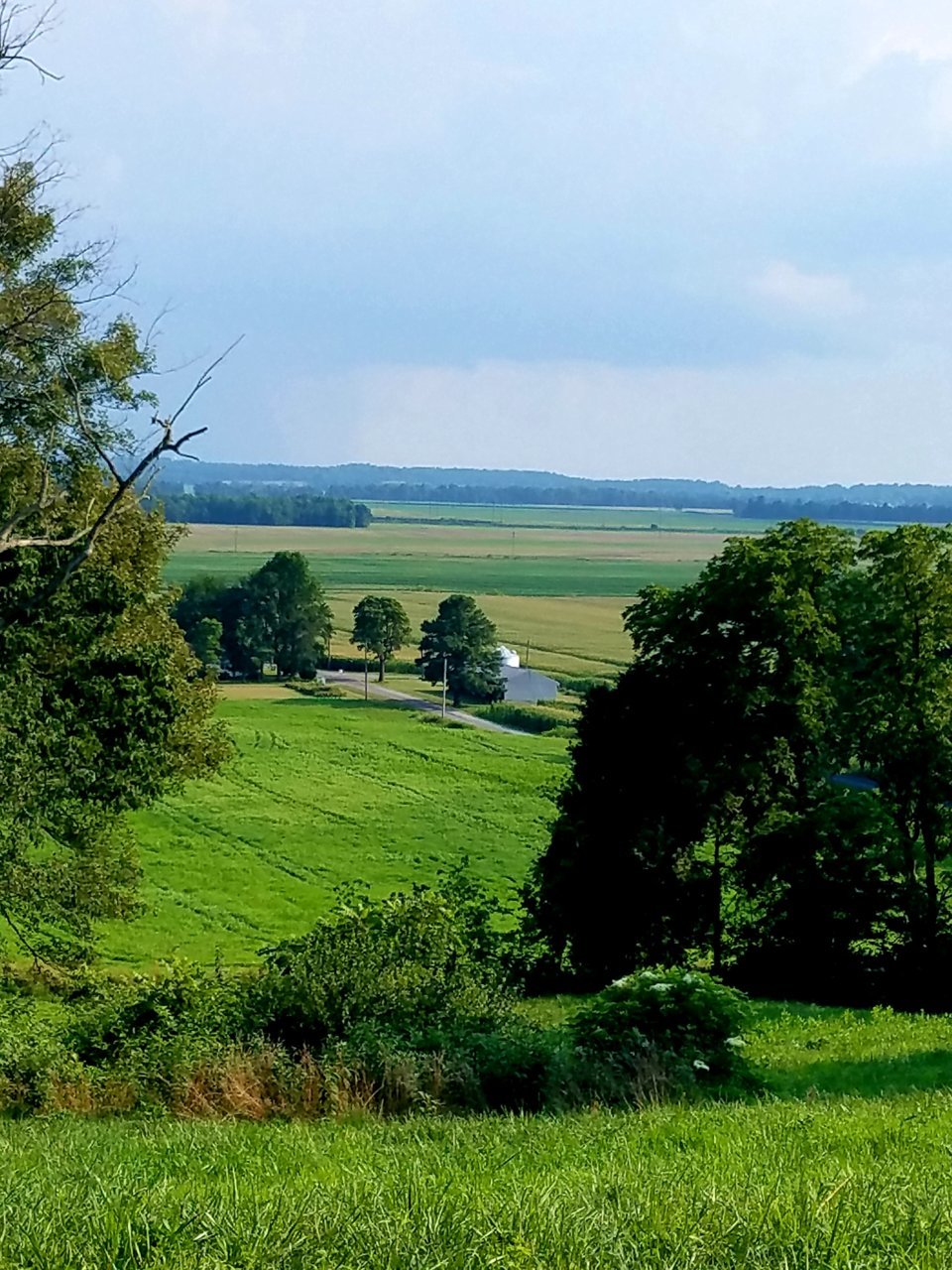20200708_215831.jpg