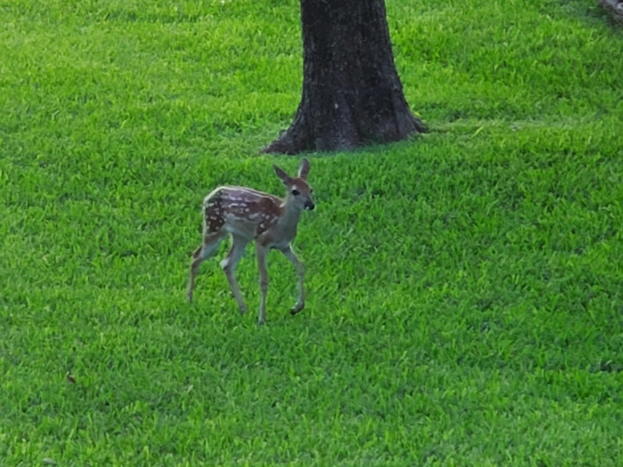20200709_070829.jpg