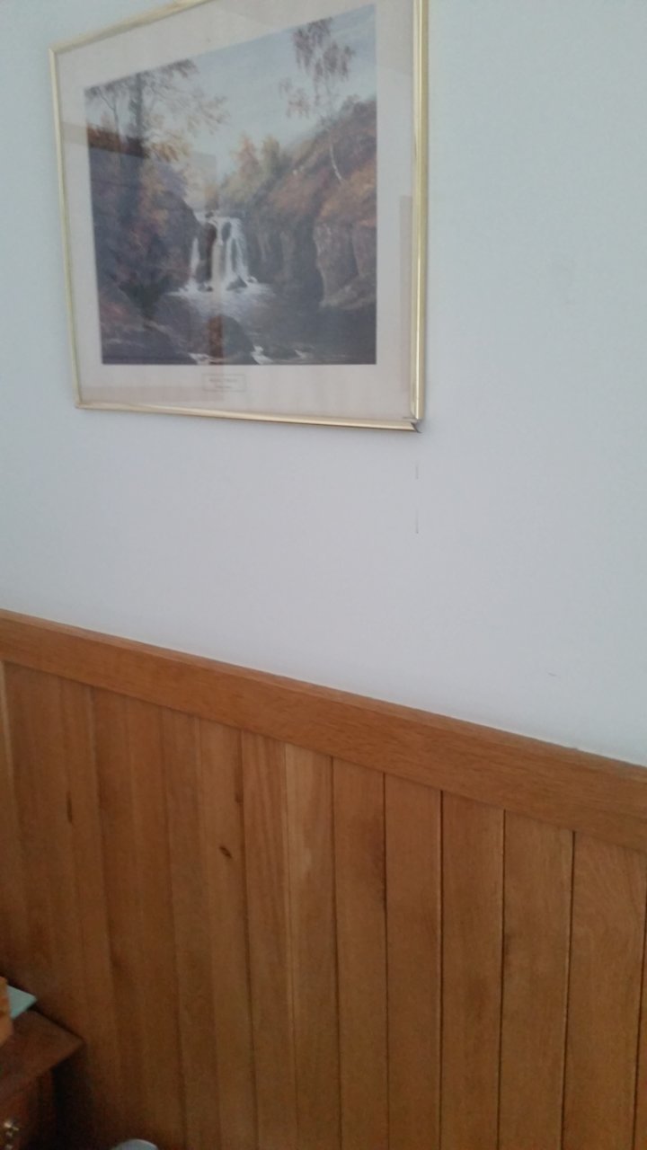 20200710_145409.jpg