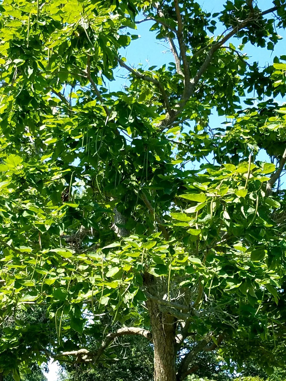 20200713_103334.jpg