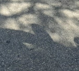 20200713_105559.jpg
