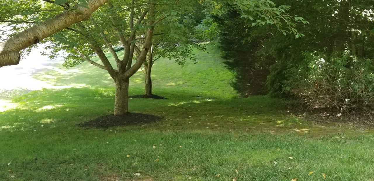 20200713_141505.jpg