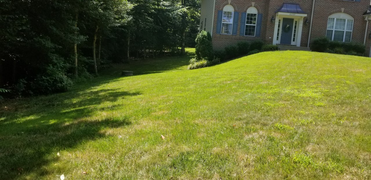 20200713_141513.jpg