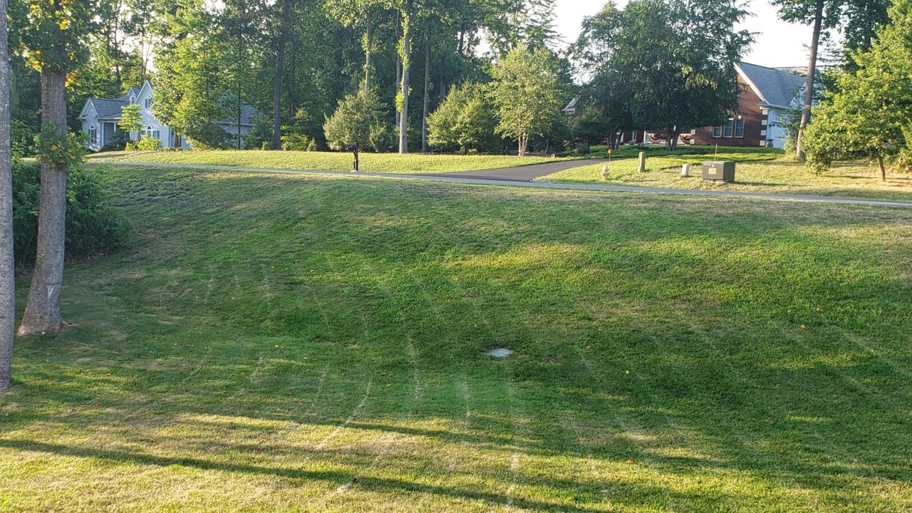 20200713_191614.jpg