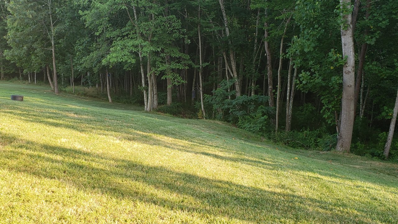 20200713_192210.jpg