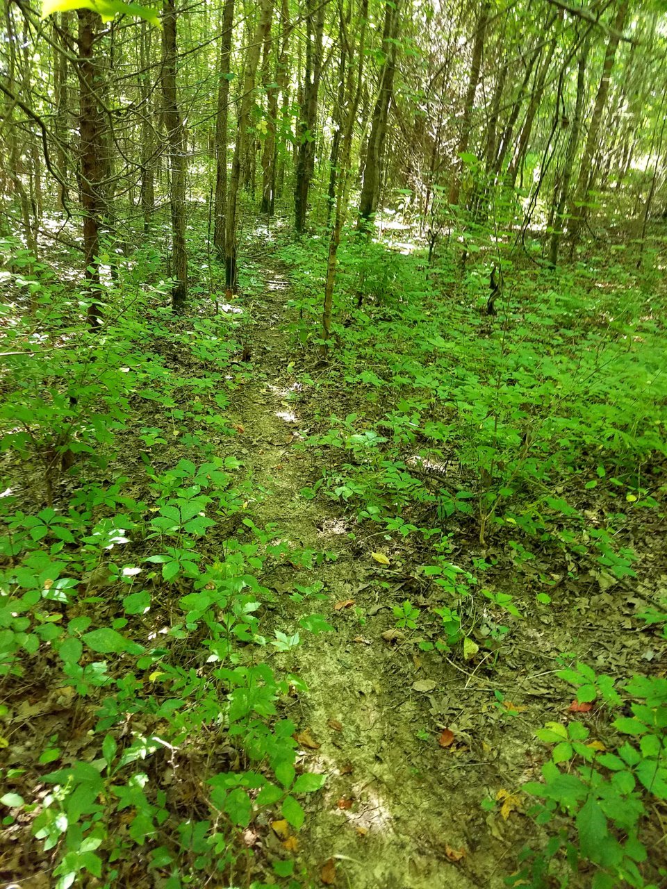 20200714_115135.jpg