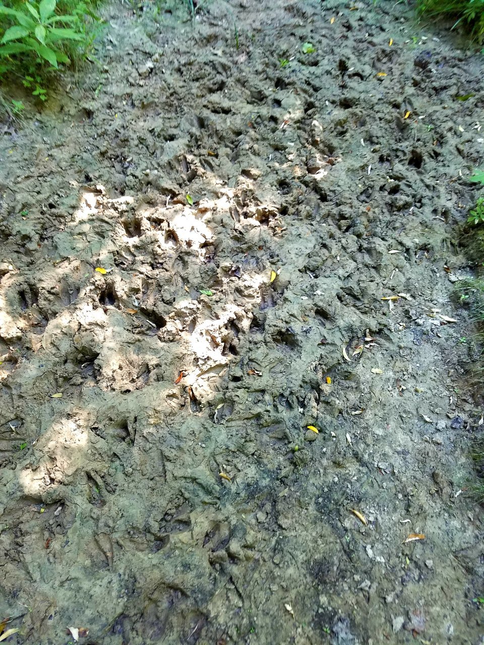 20200714_115214.jpg