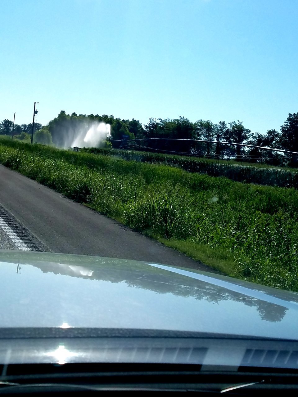 20200714_115545.jpg