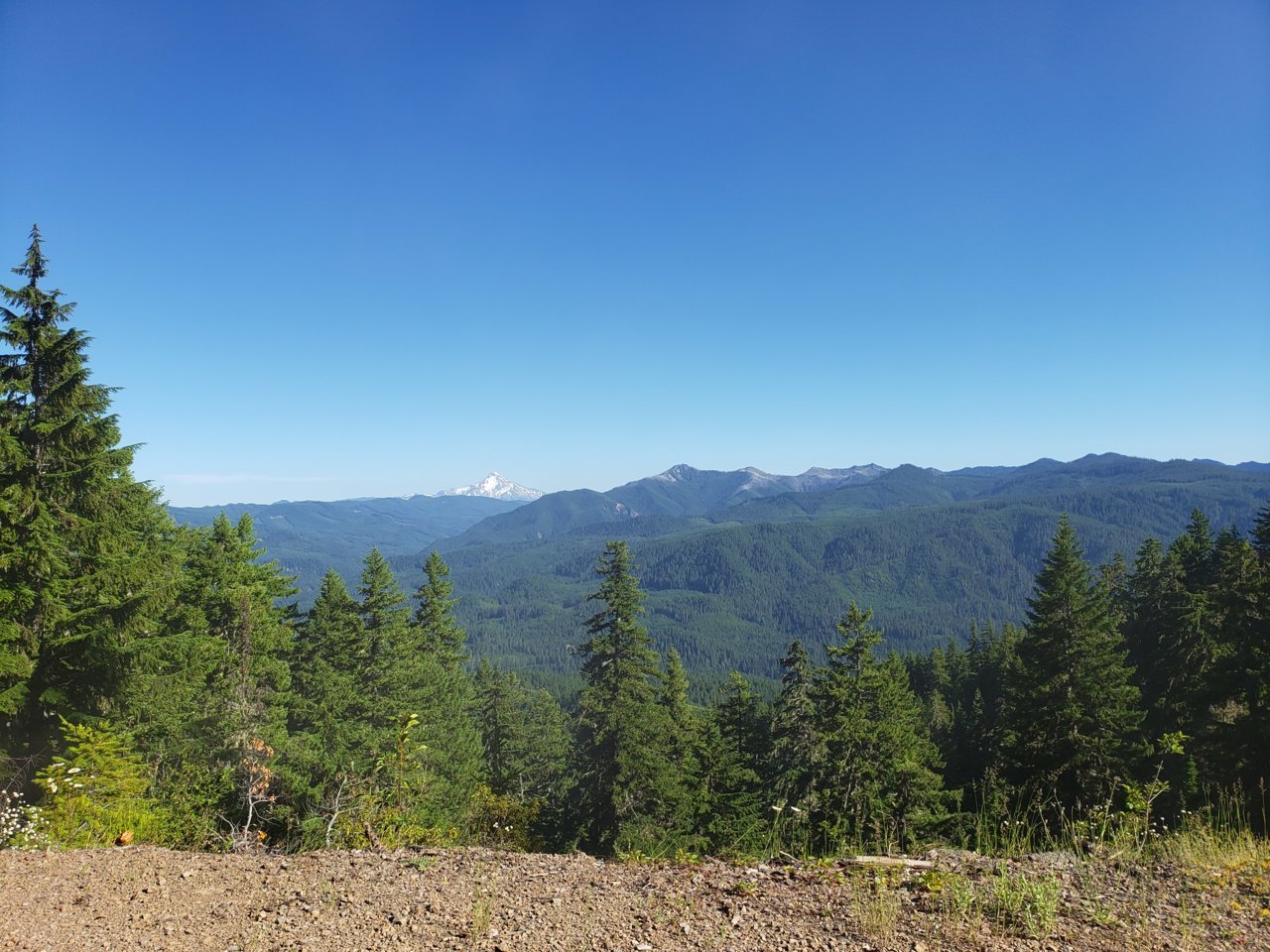 20200715_173056[1].jpg