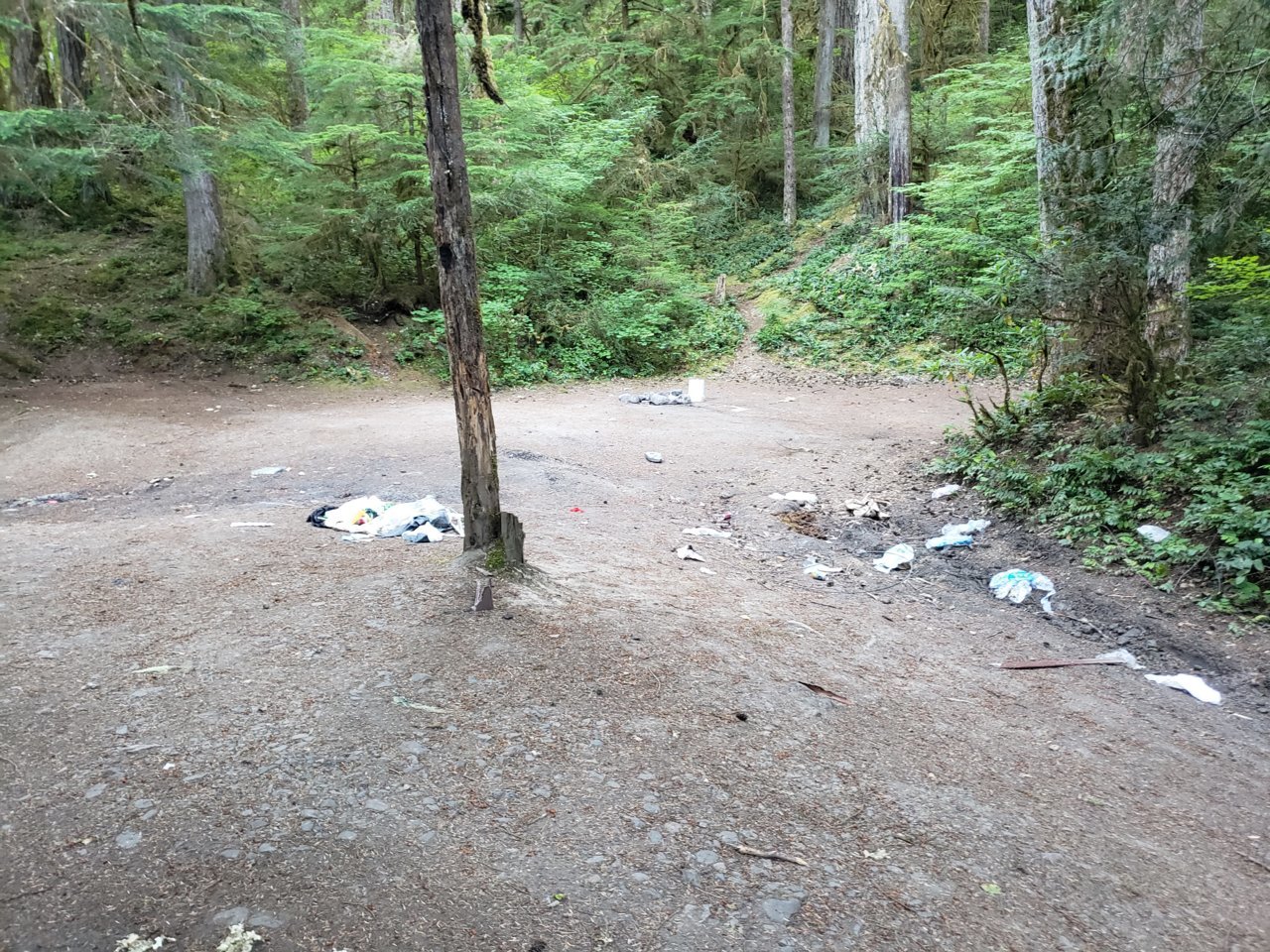 20200715_190304[1].jpg