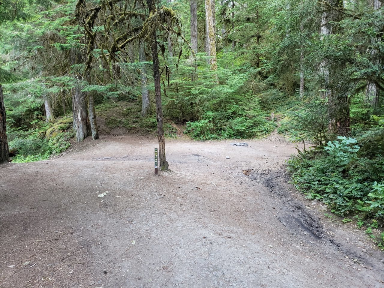 20200715_191339[1].jpg