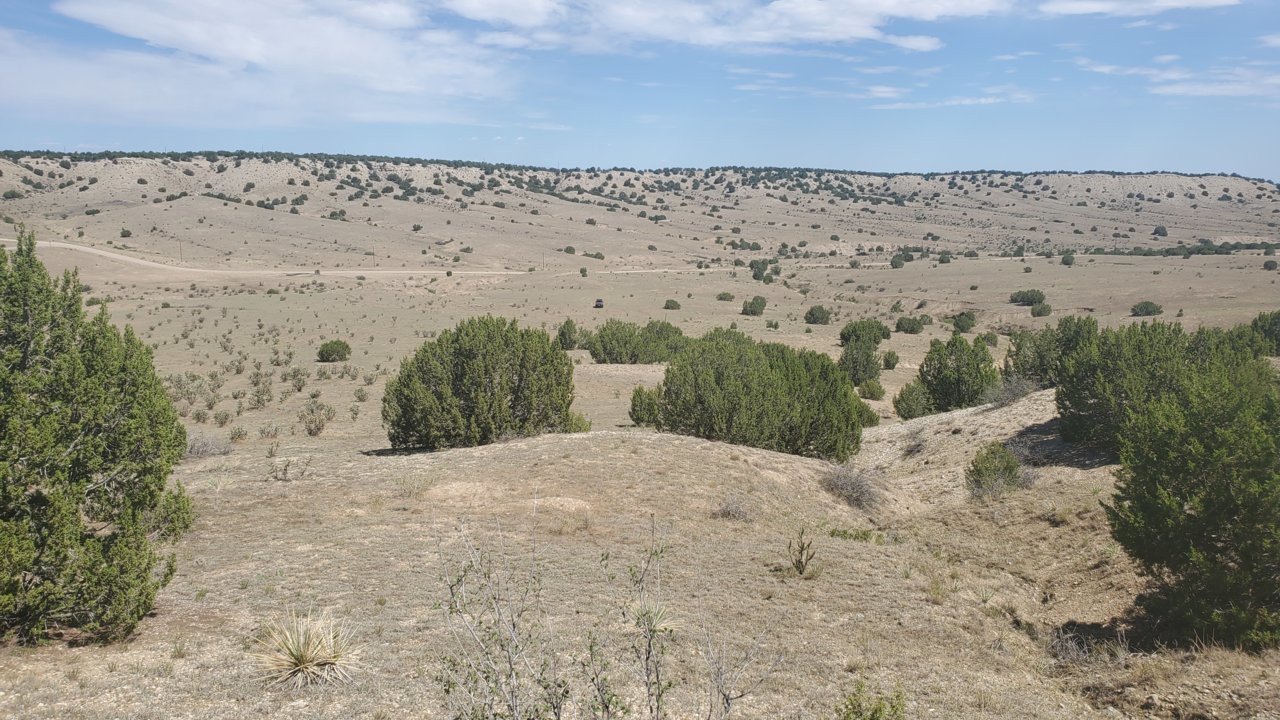 20200717_105115.jpg
