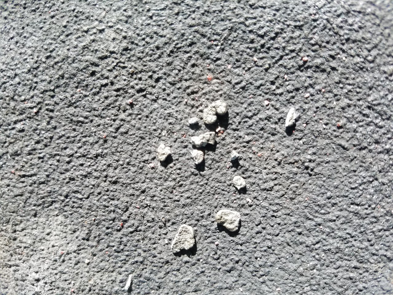 20200717_170421.jpg