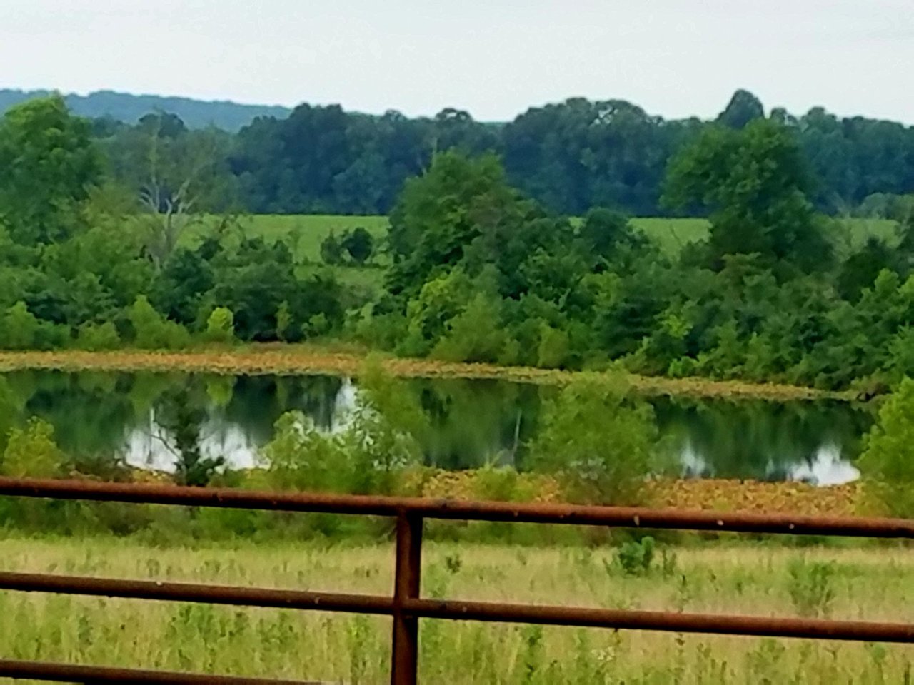 20200717_234246.jpg