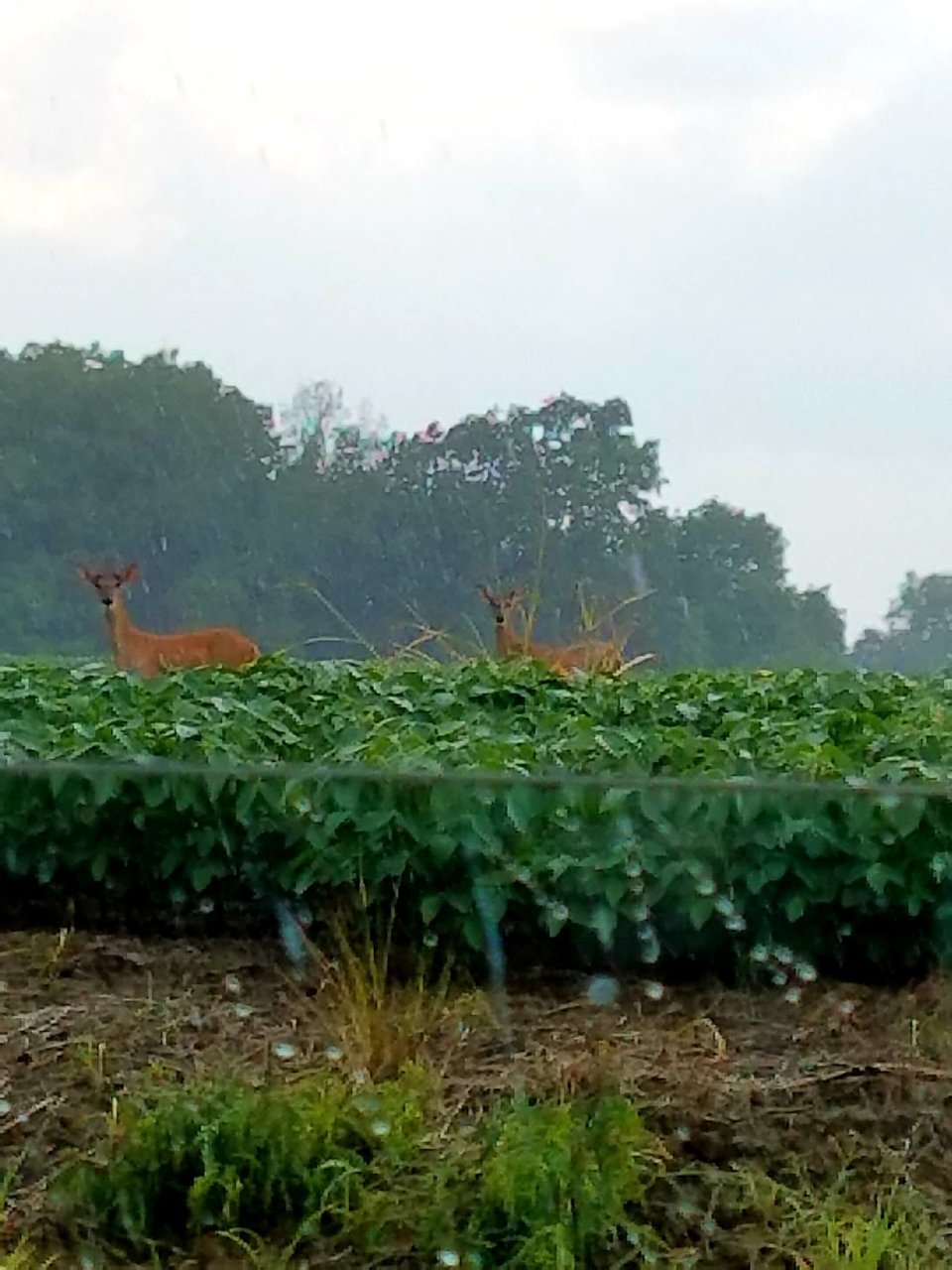 20200717_234400.jpg