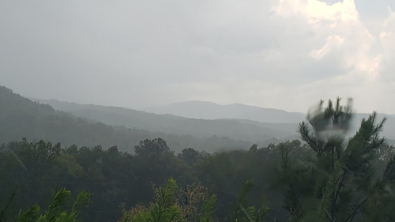 20200718_133008.jpg