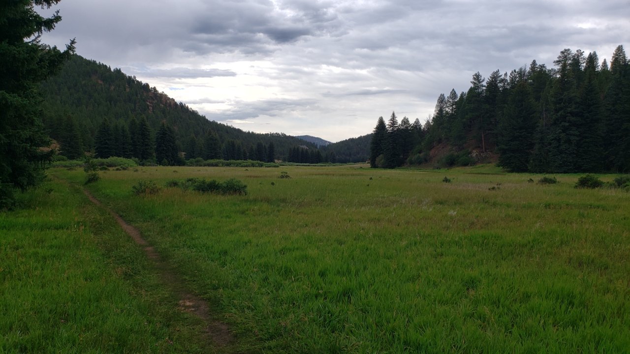 20200718_171055.jpg