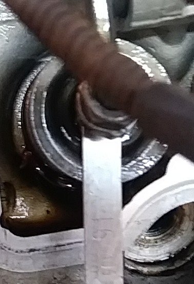 20200718_171310-1.jpg