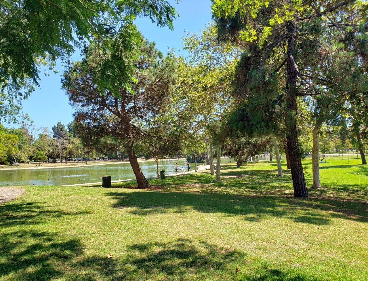 20200719_143433.jpg