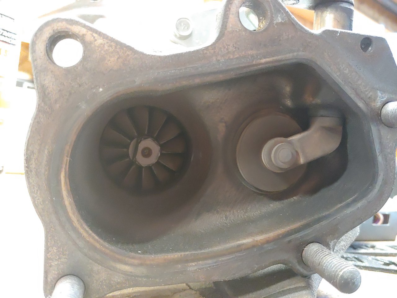 20200719_172728.jpg