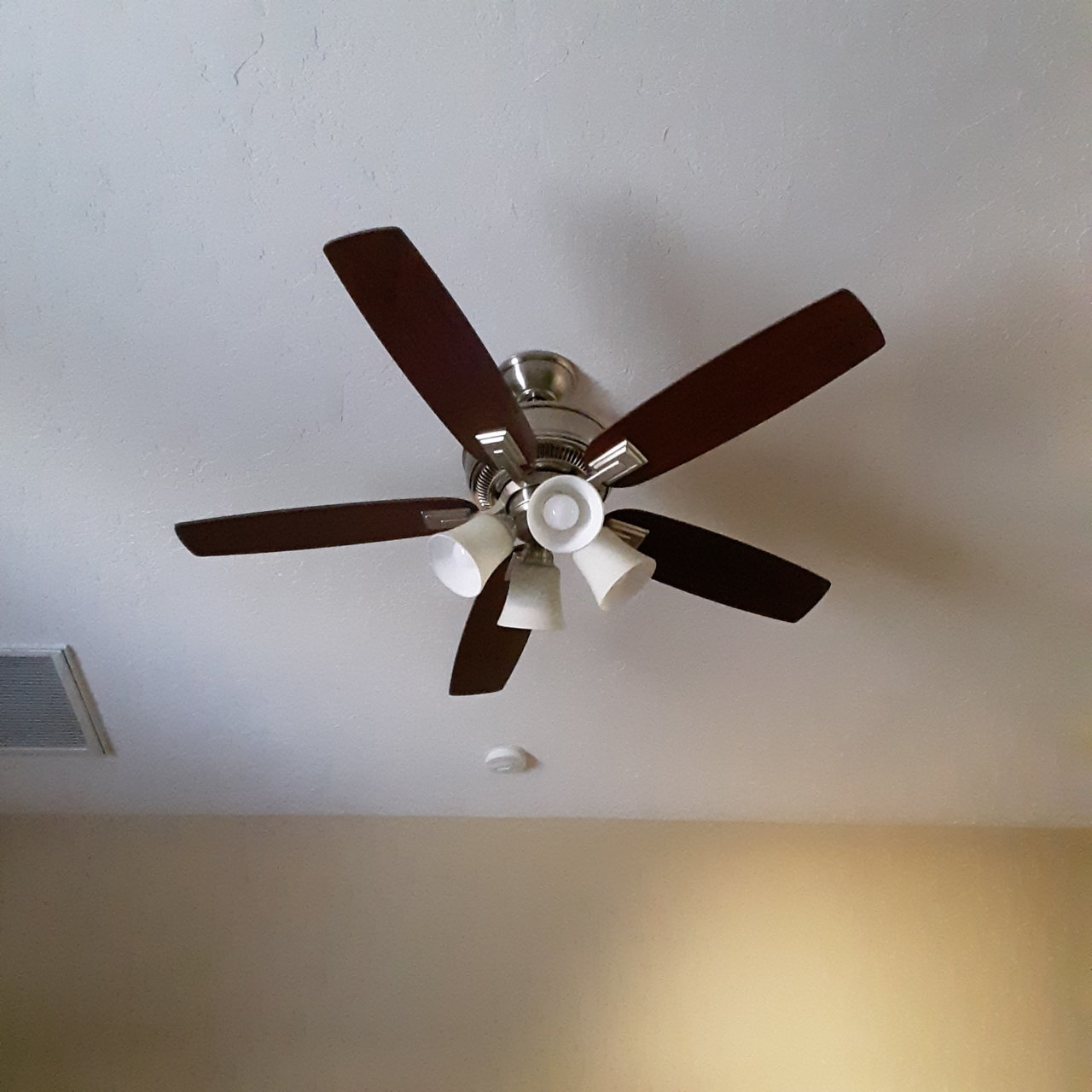 20200719_181509.jpg