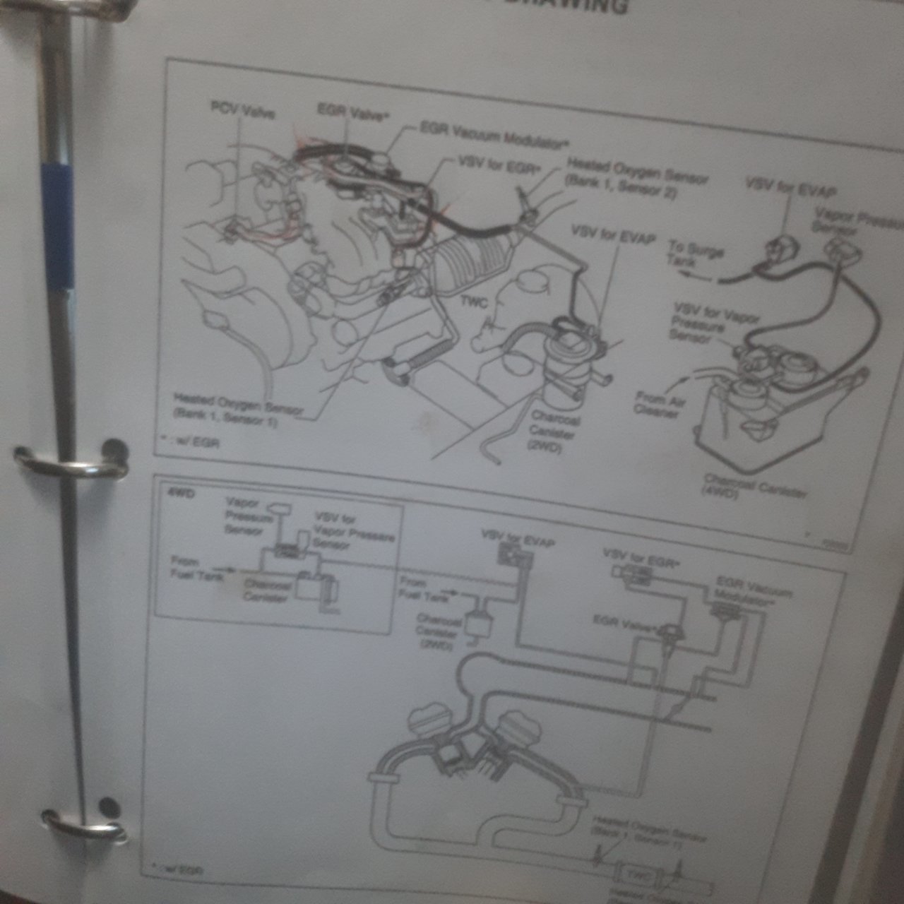 20200721_030337.jpg