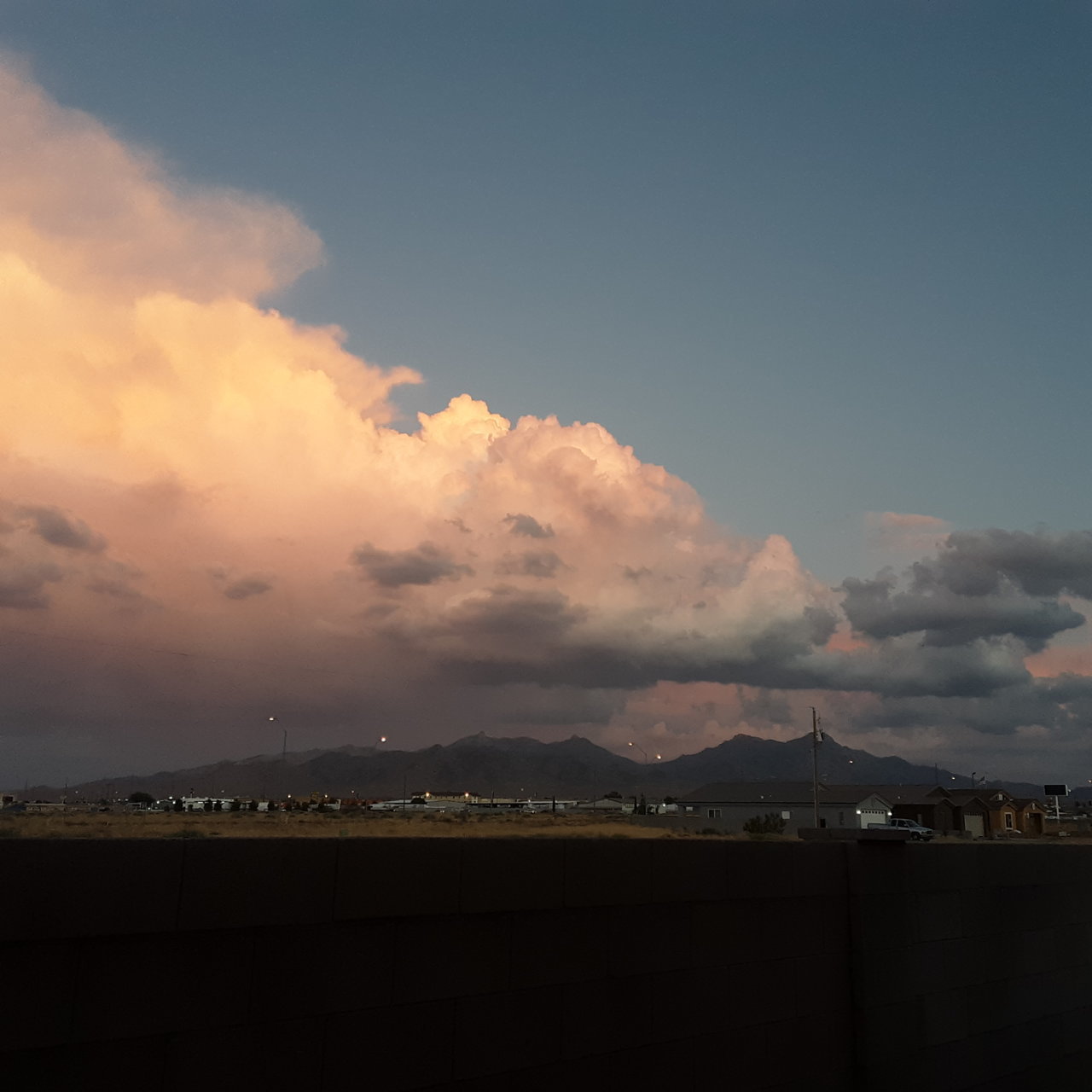 20200723_195159.jpg