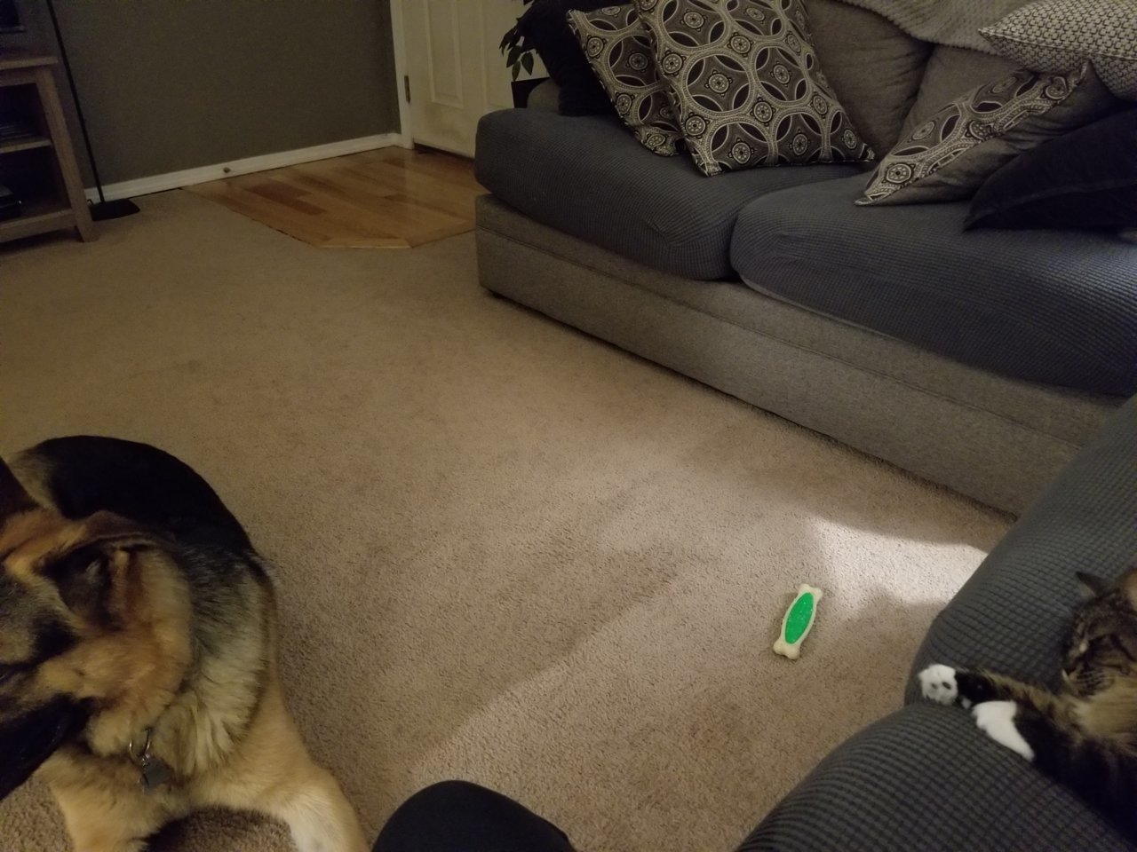 20200723_222419.jpg