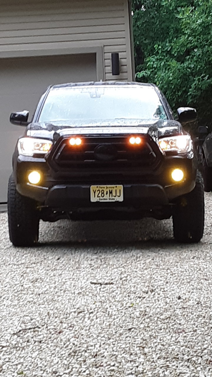 20200724_074800.jpg