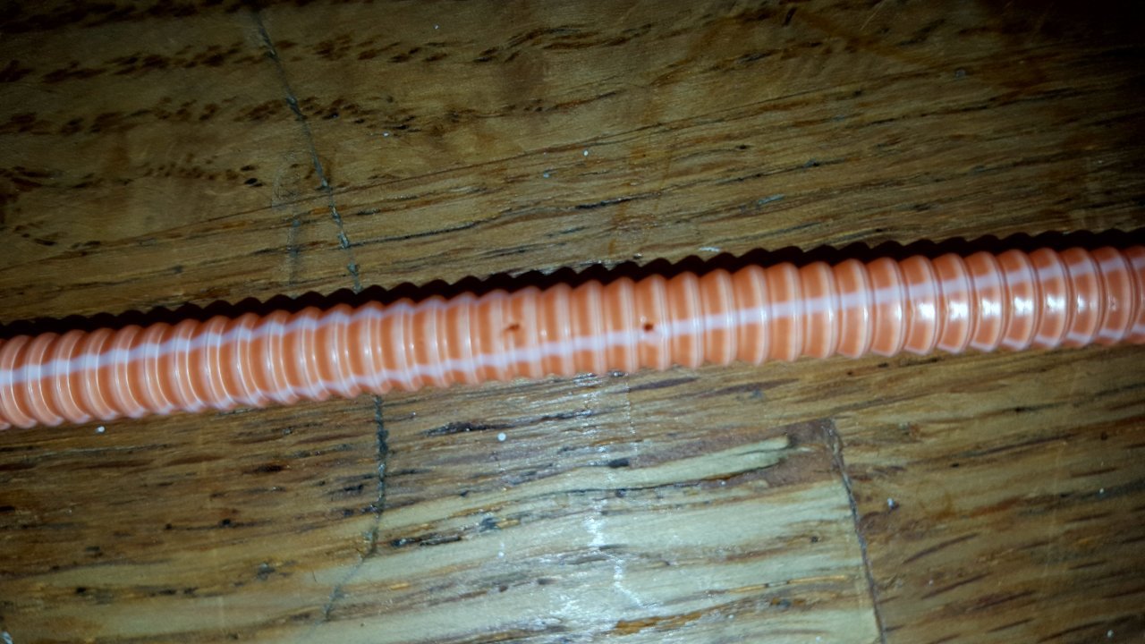 20200724_124358.jpg