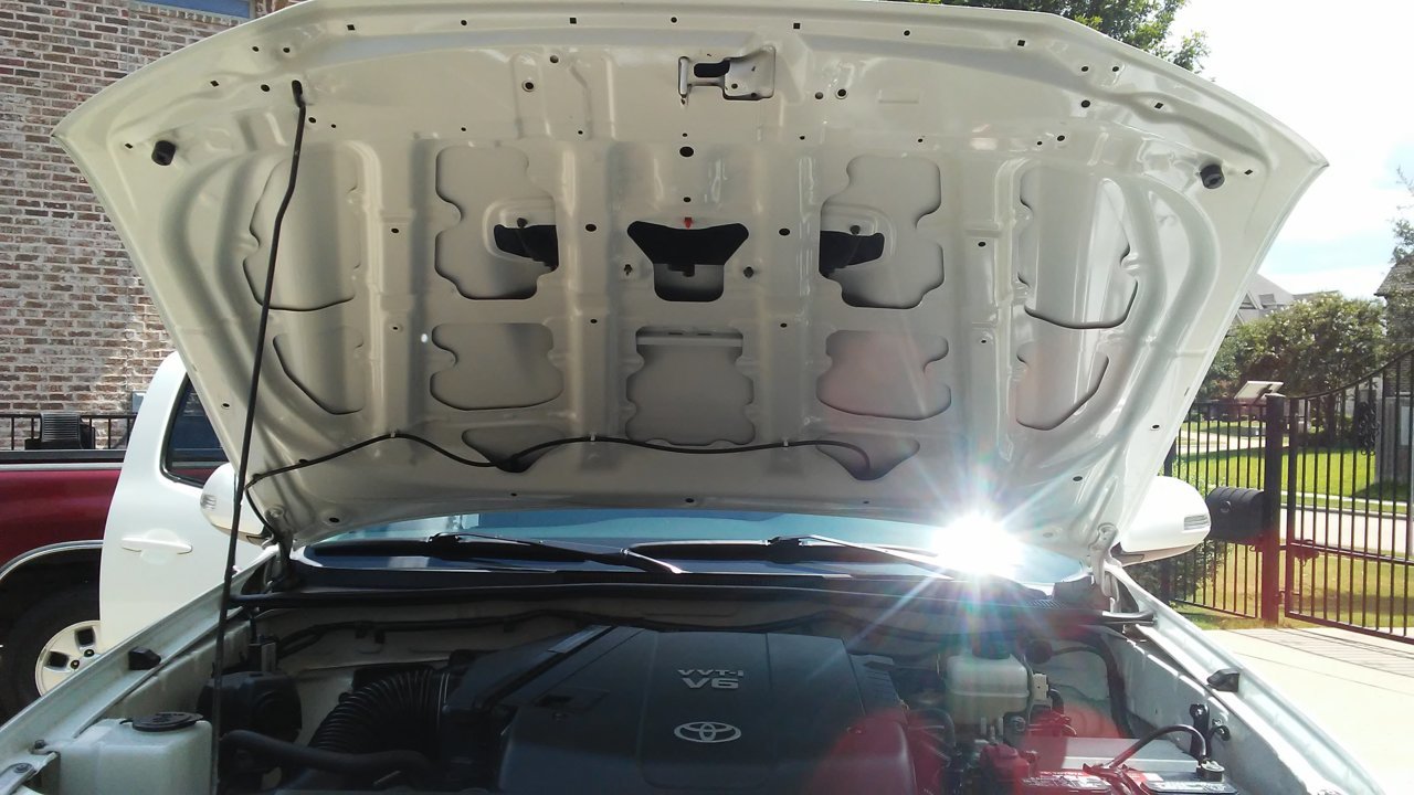 20200724_145947.jpg