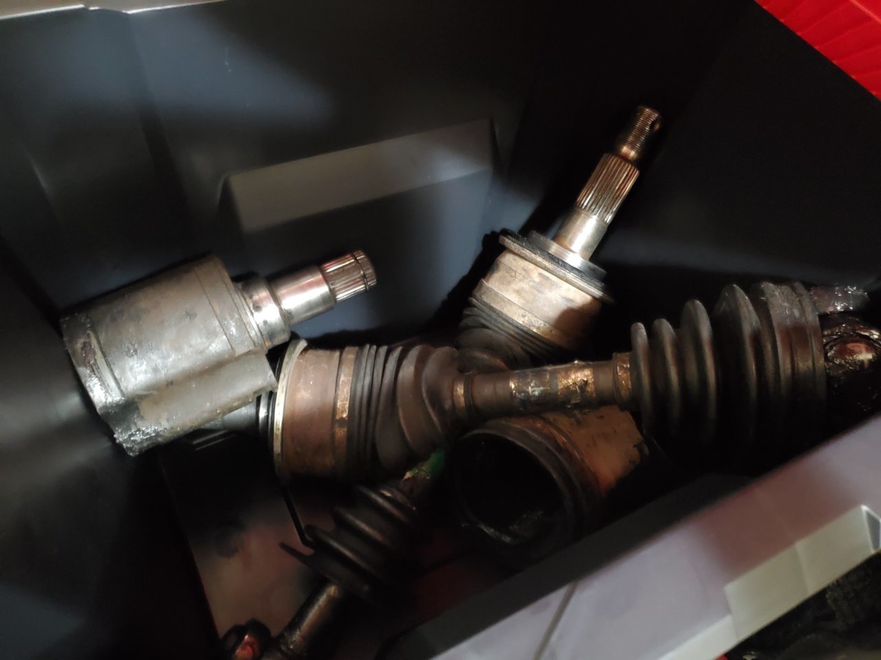20200725_205240.jpg