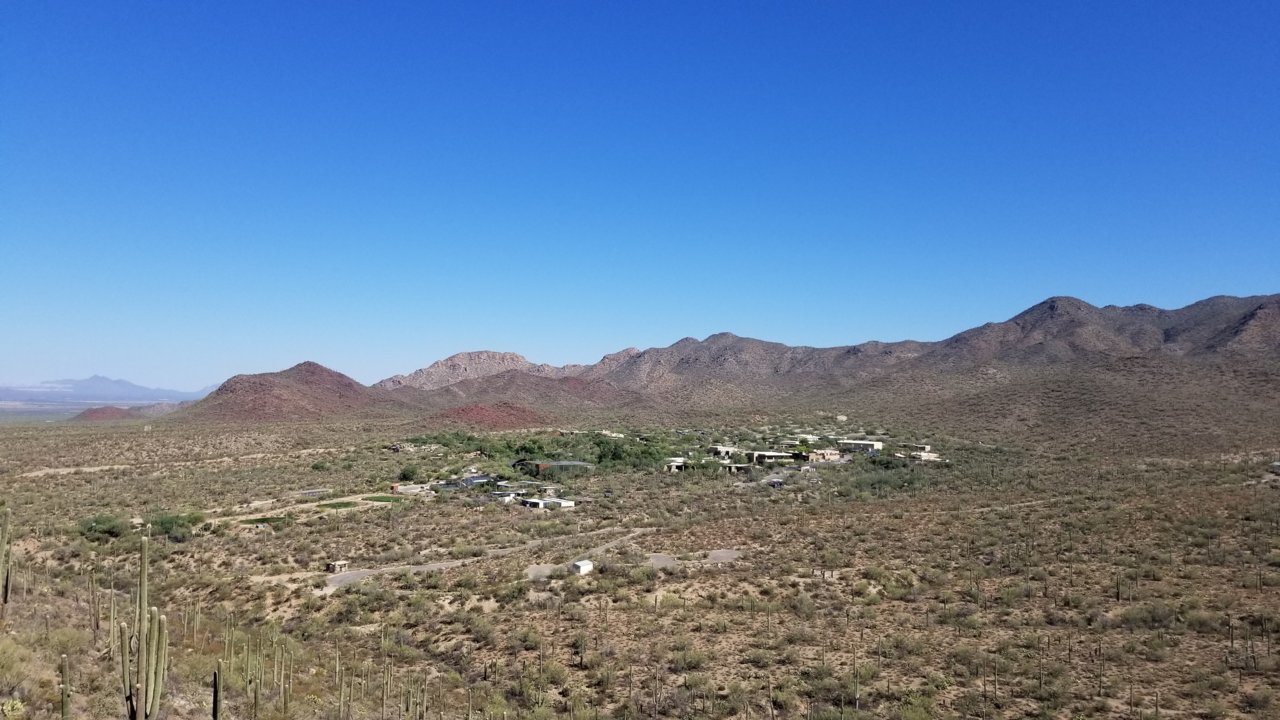 20200726_090007.jpg