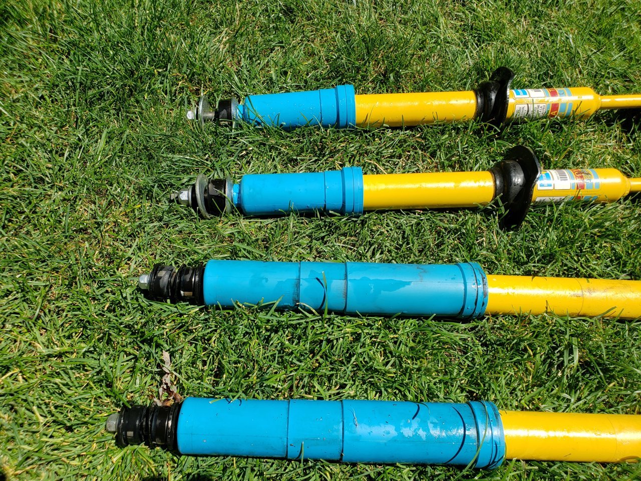 20200726_131915.jpg