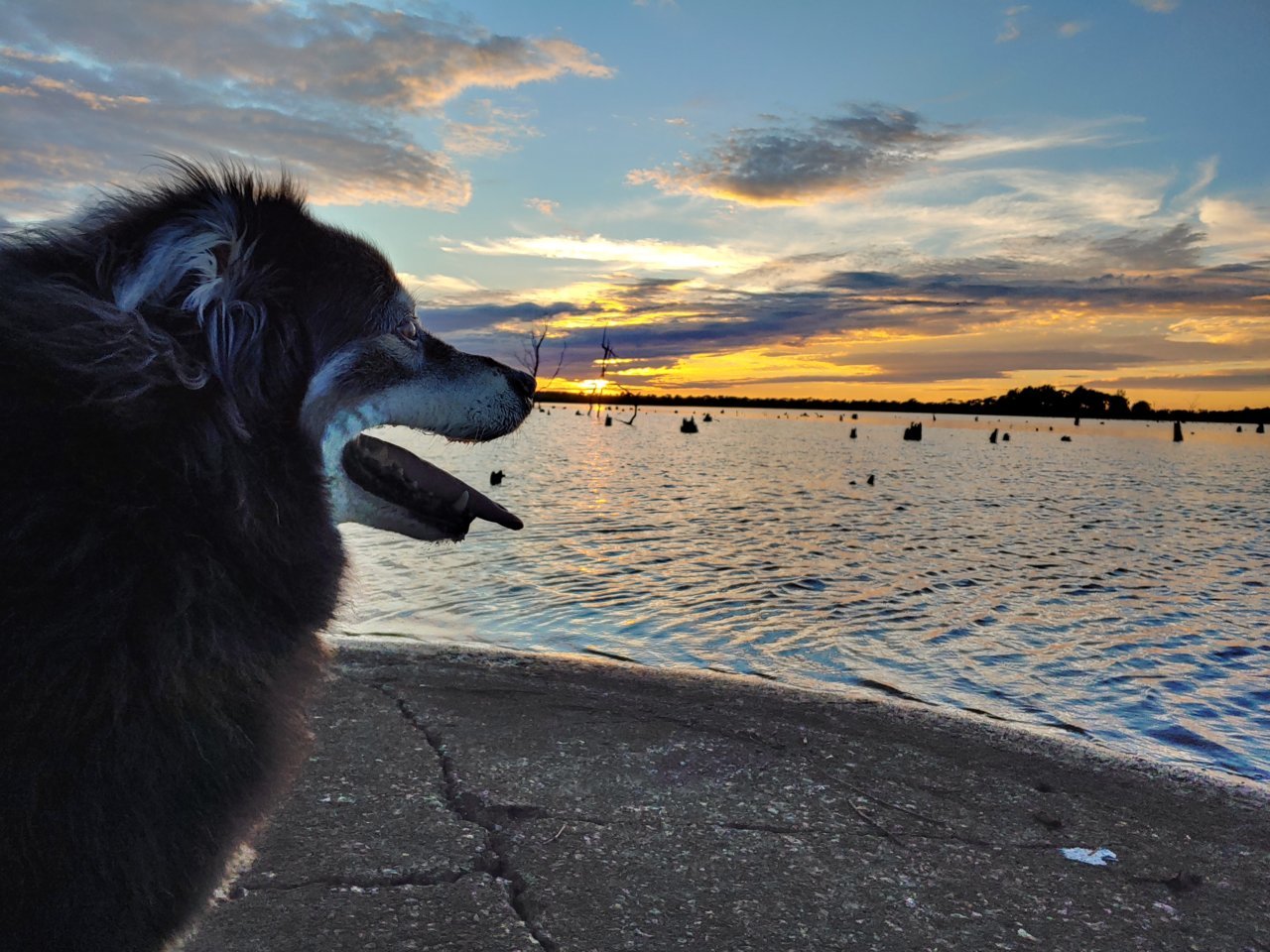 20200727_201931_HDR.jpg
