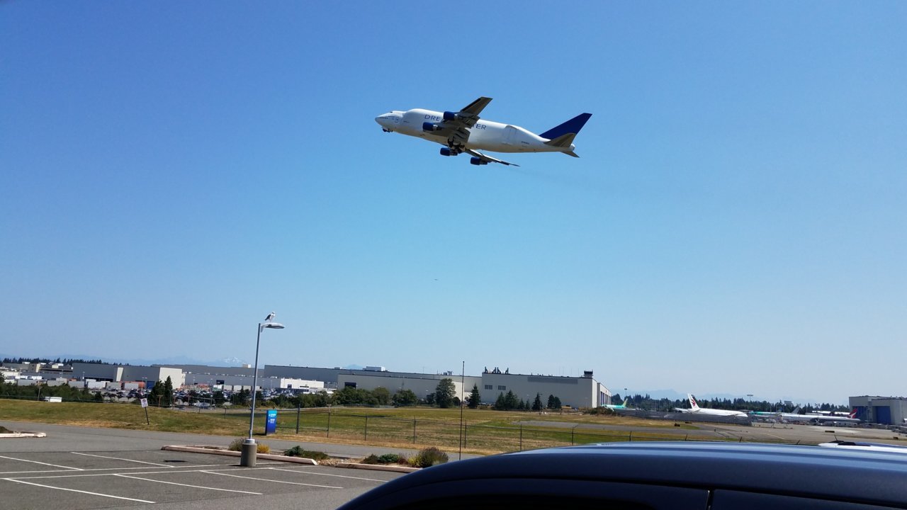 20200730_123258.jpg