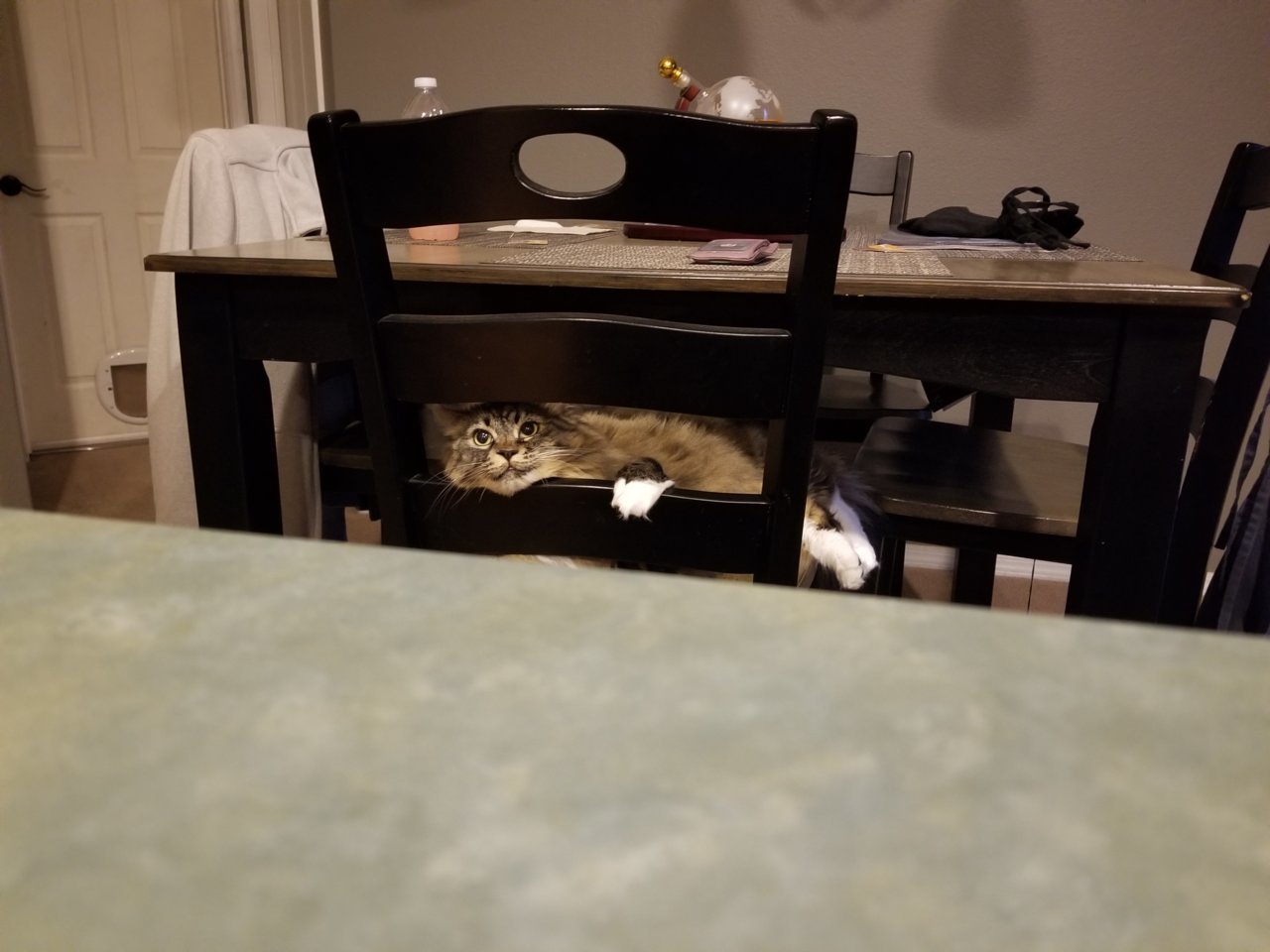 20200730_211657.jpg