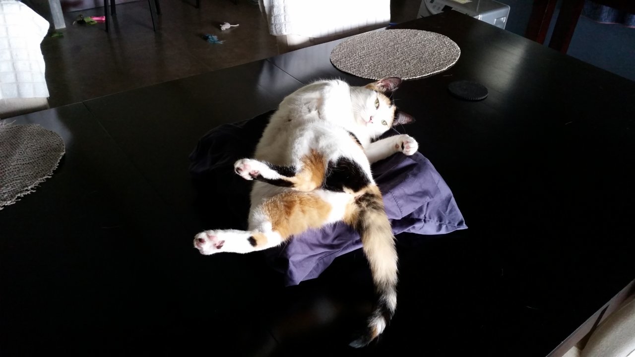 20200731_110849.jpg
