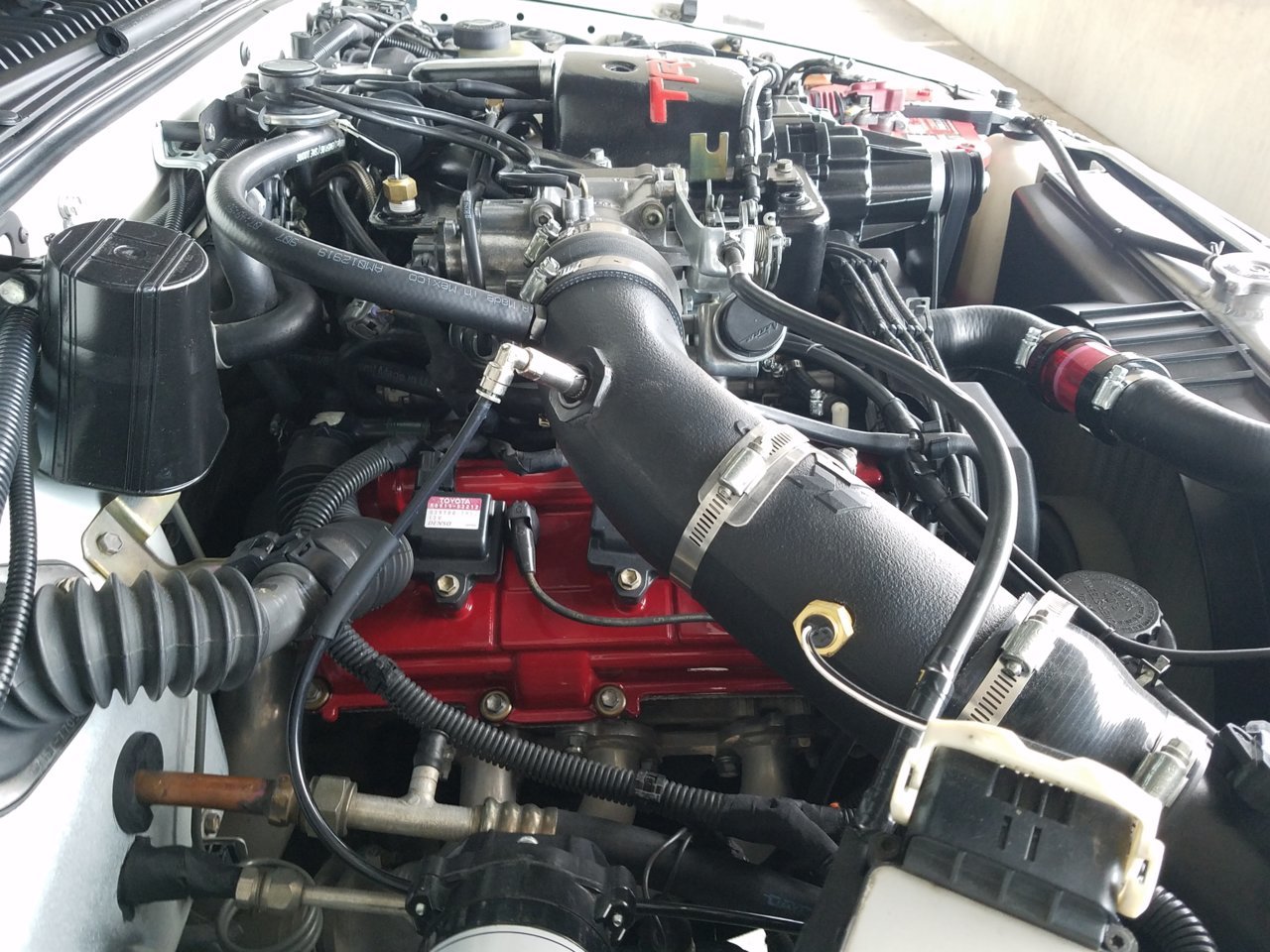 20200731_185009.jpg